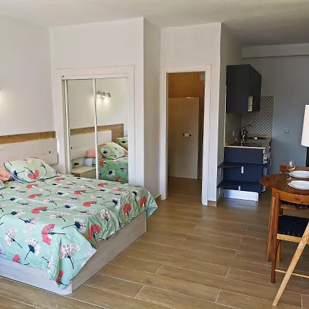 Apartman Paraiso Del Sur Costa Adeje (Tenerife)
